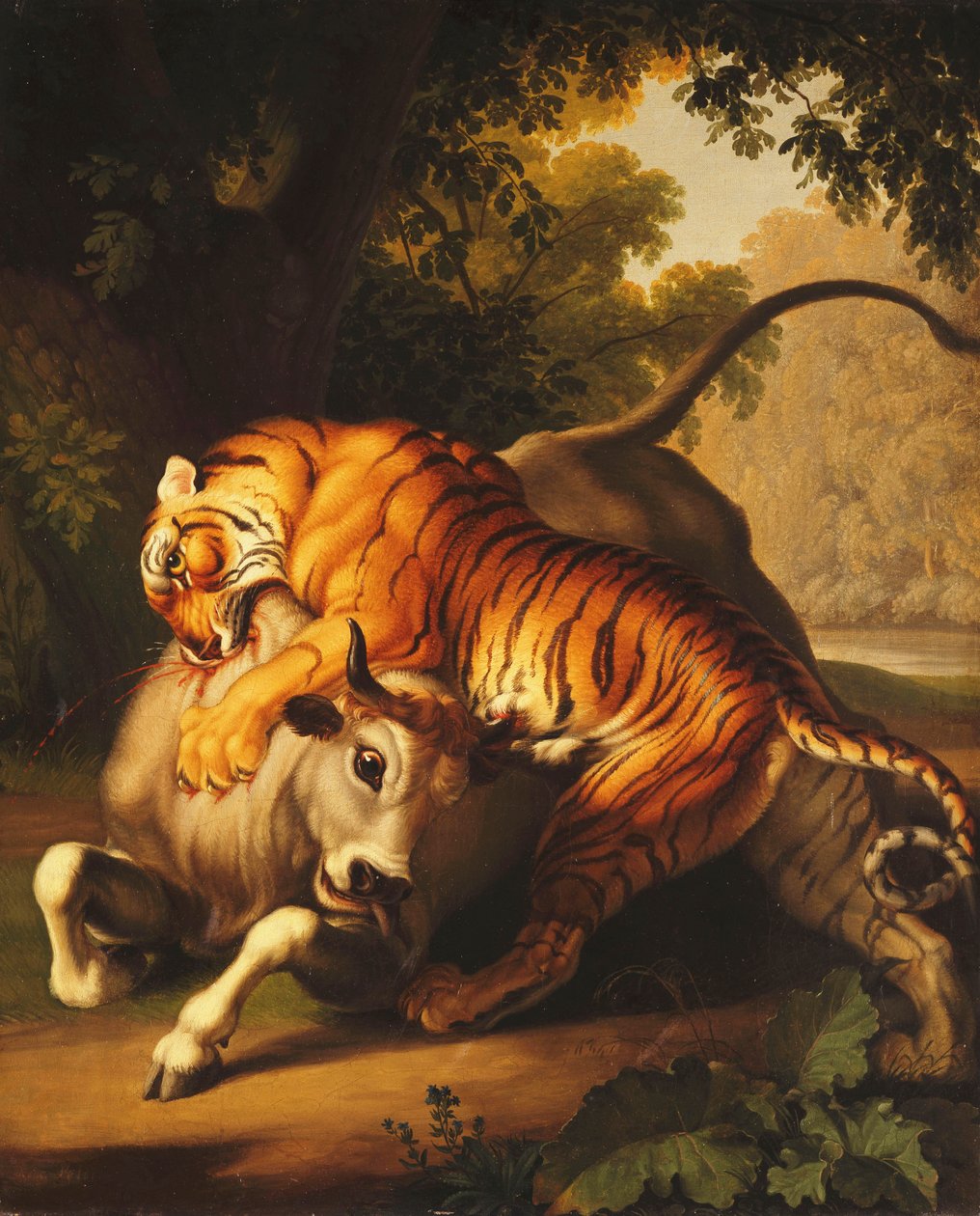 Tygrys atakujący byka, 1785 autorstwa Johan Wenzel Peter