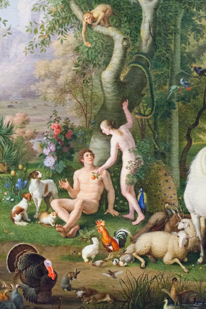 Adam i Ewa w ogrodzie Eden (olej na płótnie) (fragment 3362284) autorstwa Johan Wenzel Peter
