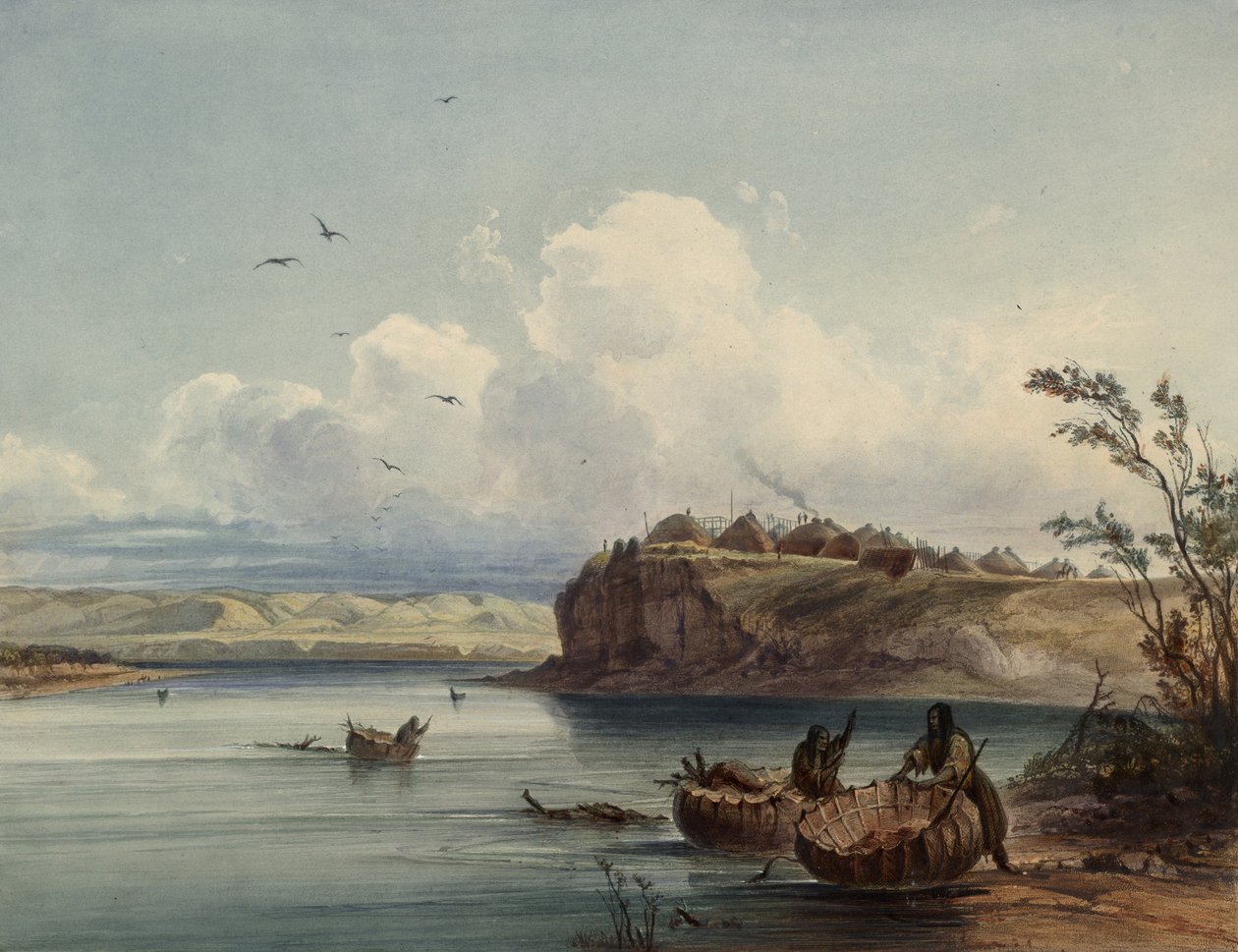 Zobacz obraz źródłowy, po prostu wycięty ogromny obszar wanilii autorstwa Karl Bodmer