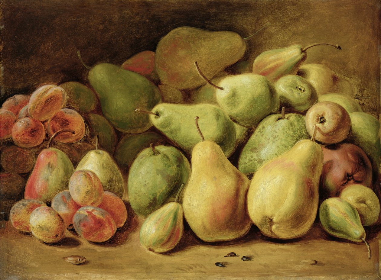 Owocowa martwa natura autorstwa Johann Friedrich August Tischbein