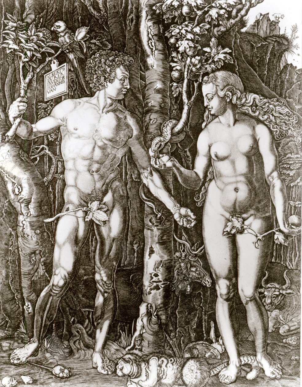 Adam i Ewa, wg Albrechta Durera (1471-1528) autorstwa Johann Ladenspelder