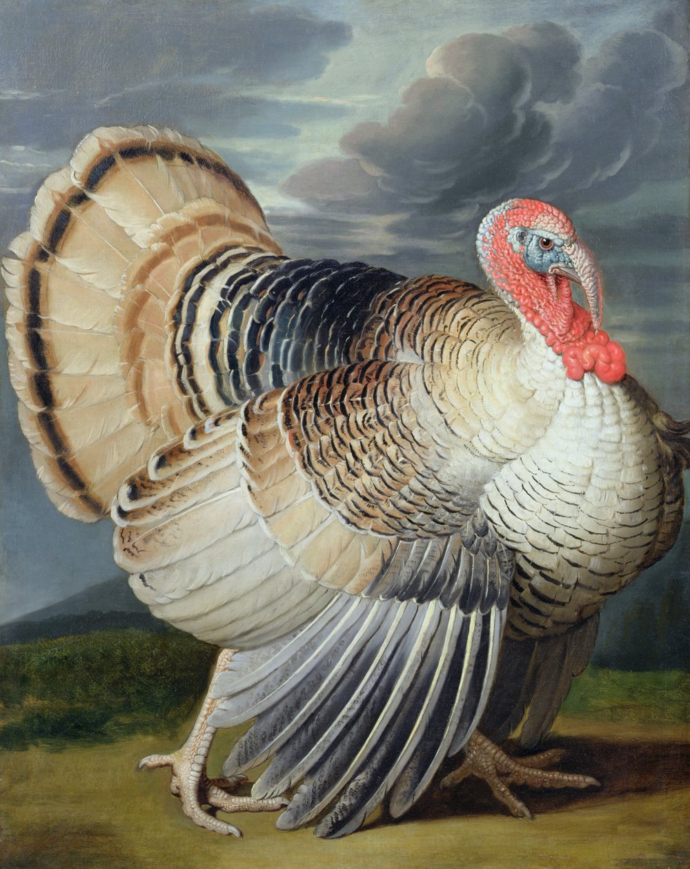 Portret Turcji autorstwa Johann Wenceslaus Peter Wenzal