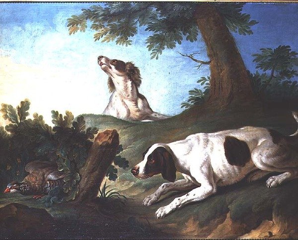 Spaniele wystawiające kuropatwy autorstwa Johann Michael Baader