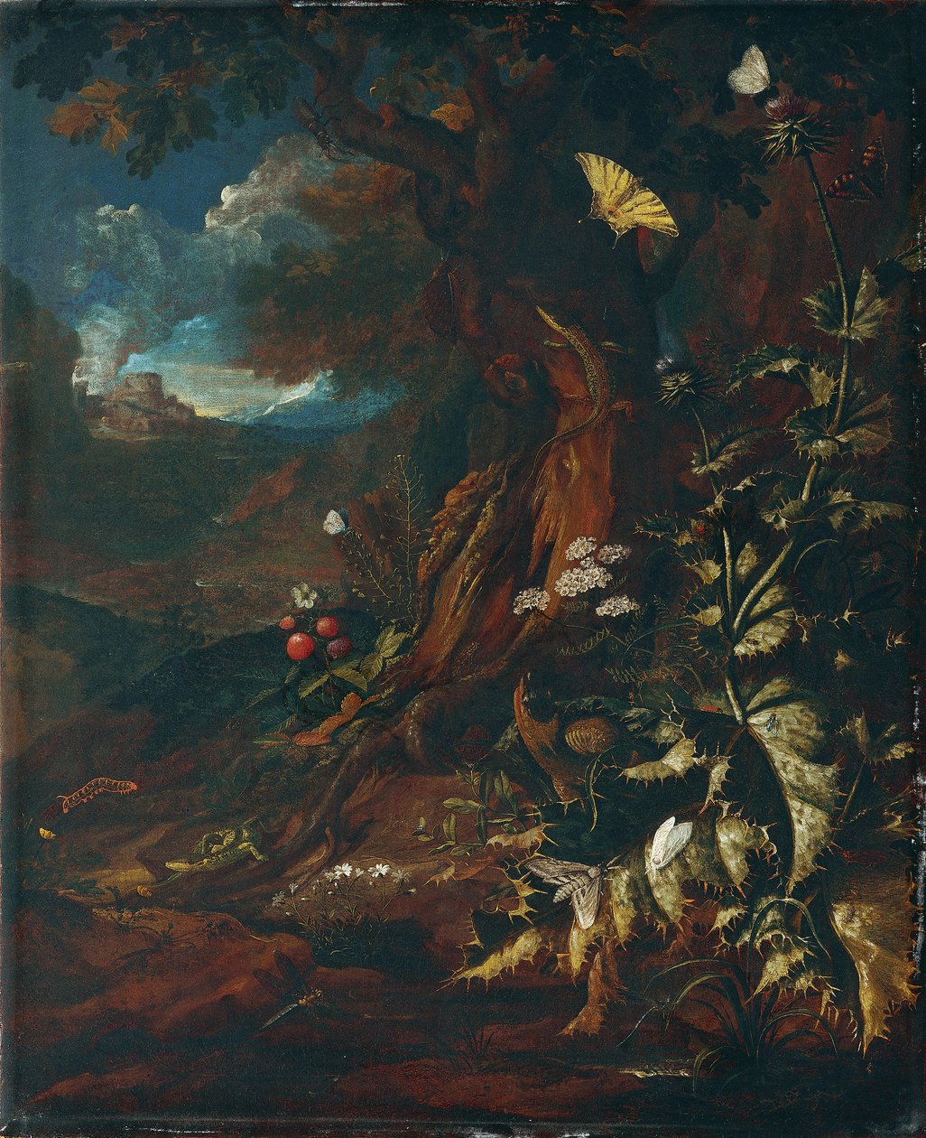 Krajobraz z gadami i owadami (I) autorstwa Johann Adalbert Angermayer