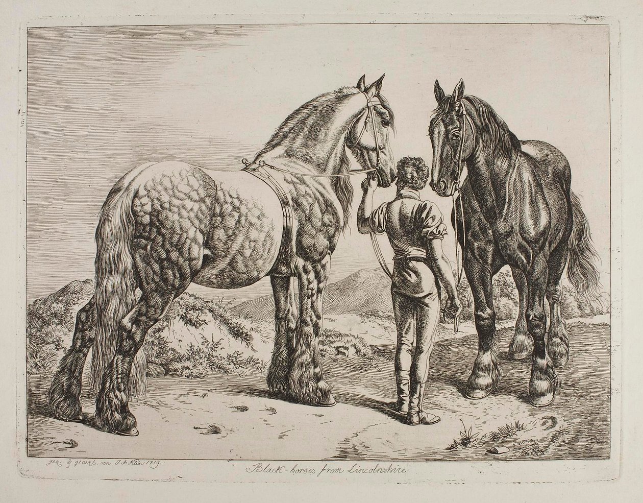 Czarne konie z hrabstwa Lincolnshire autorstwa Johann Adam Klein