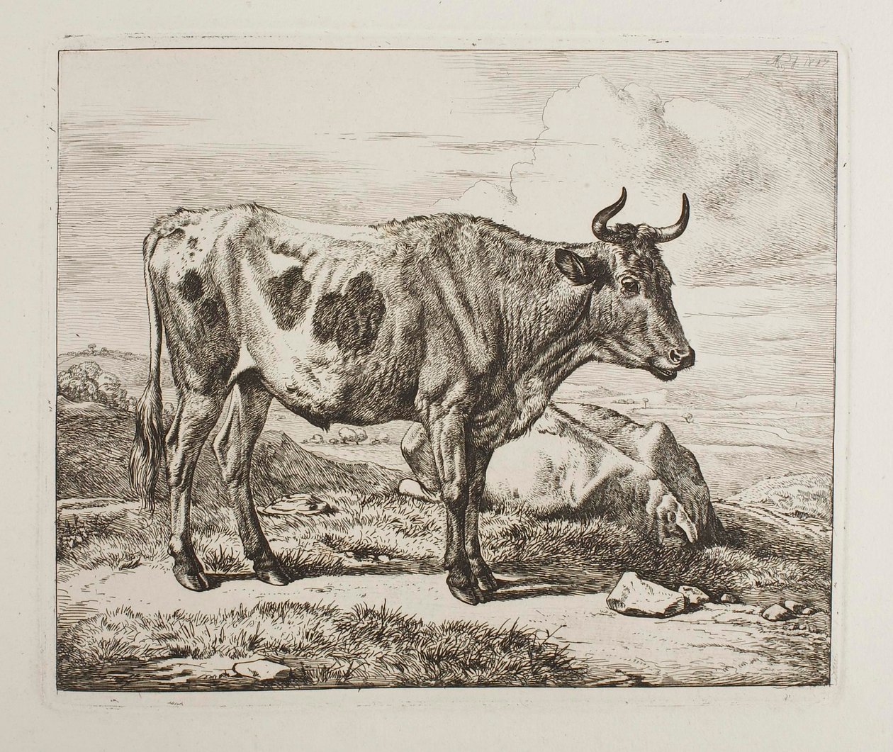 Bydło na polu autorstwa Johann Adam Klein