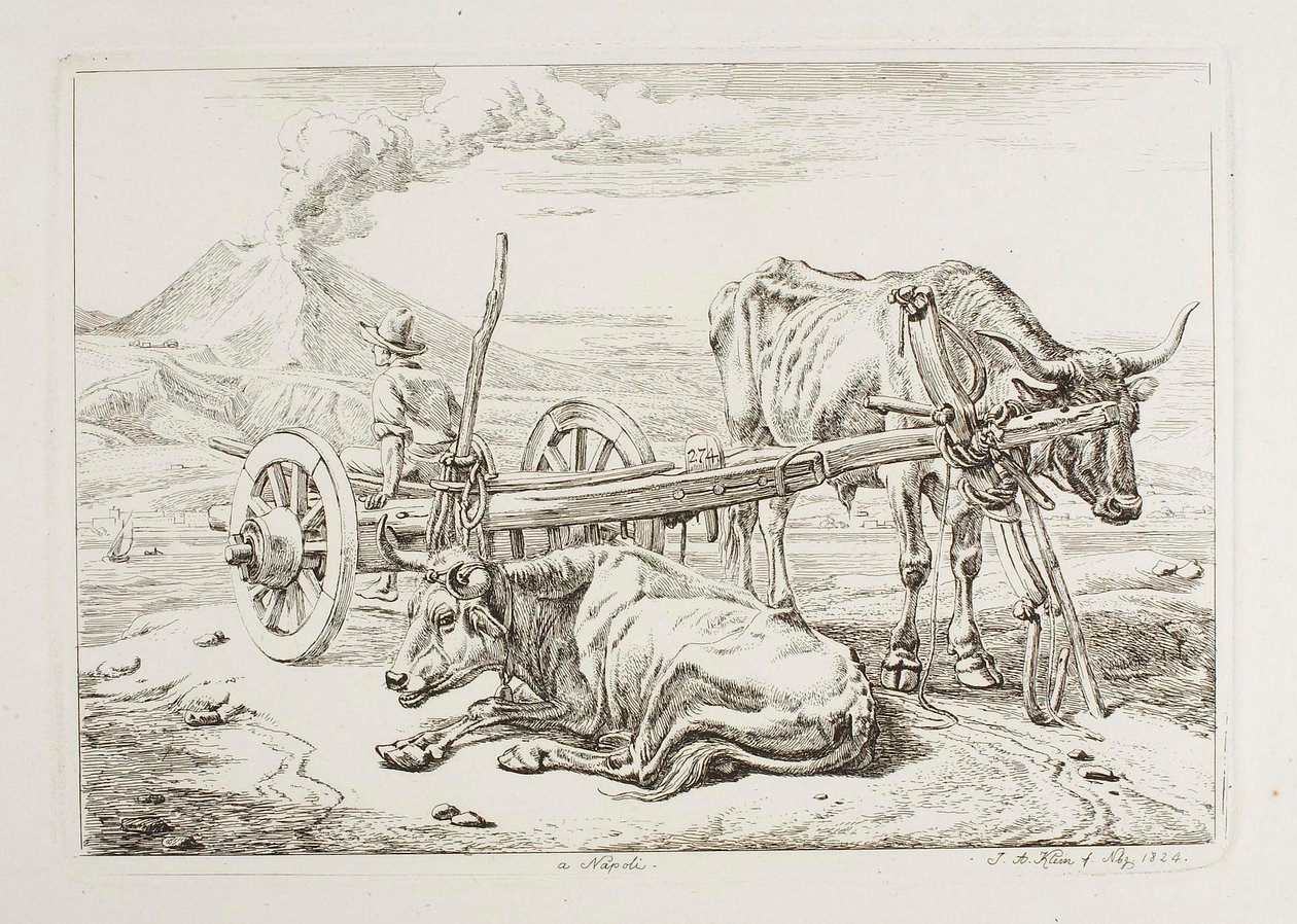 W Neapolu (woły i wóz w Neapolu) autorstwa Johann Adam Klein