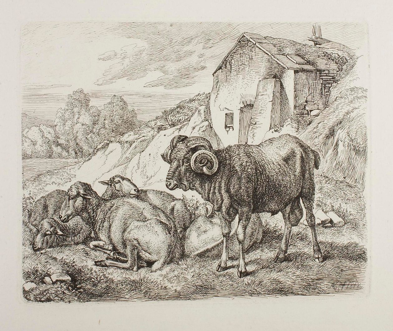 Barany i owce za domem autorstwa Johann Adam Klein