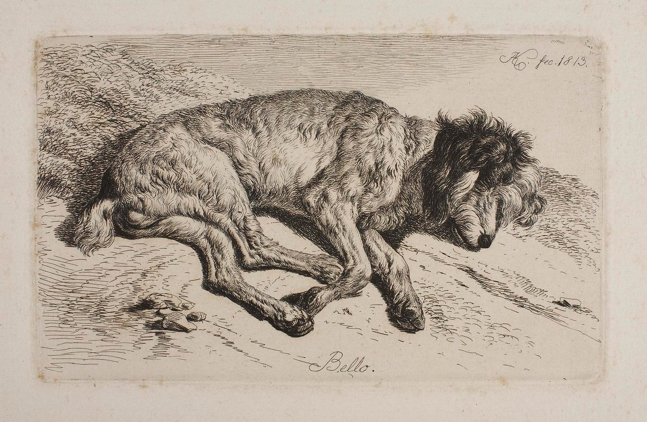 Śpiący pies, Bello autorstwa Johann Adam Klein