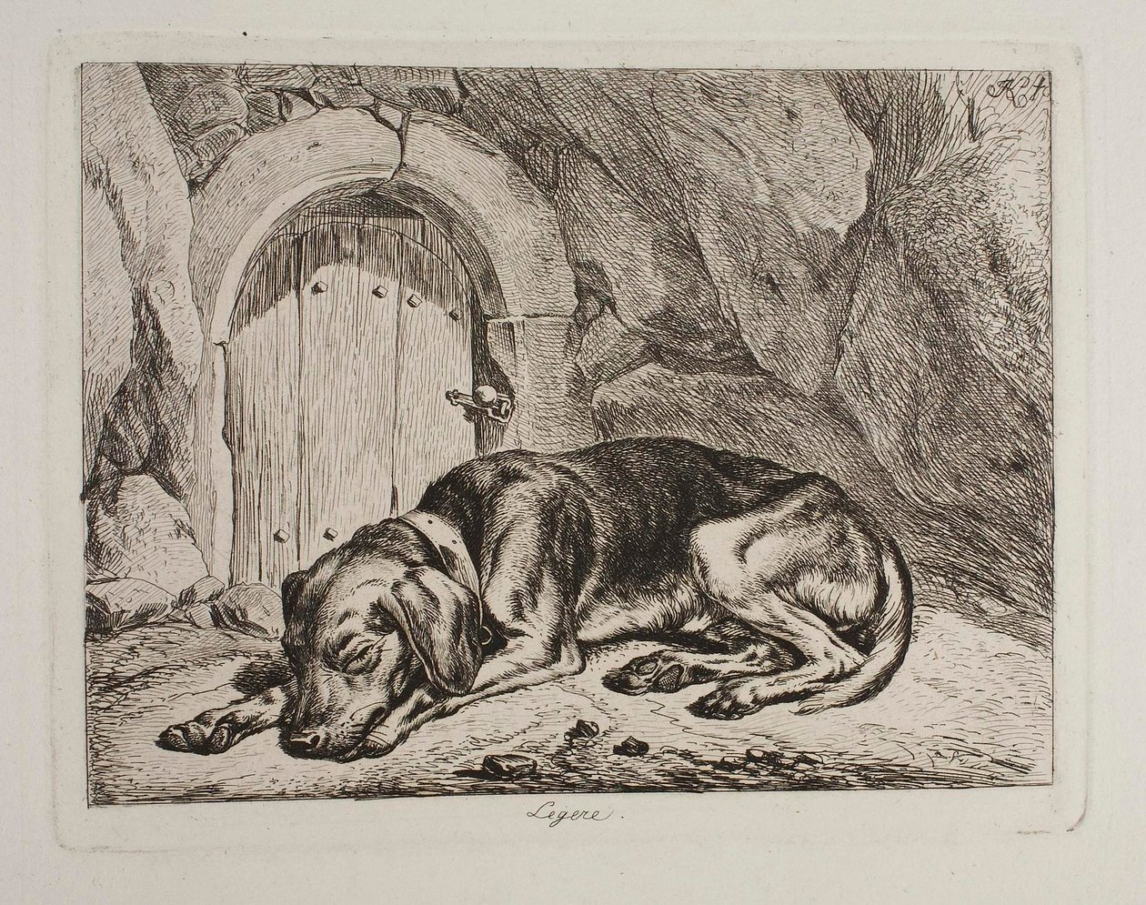 Pies Legere autorstwa Johann Adam Klein
