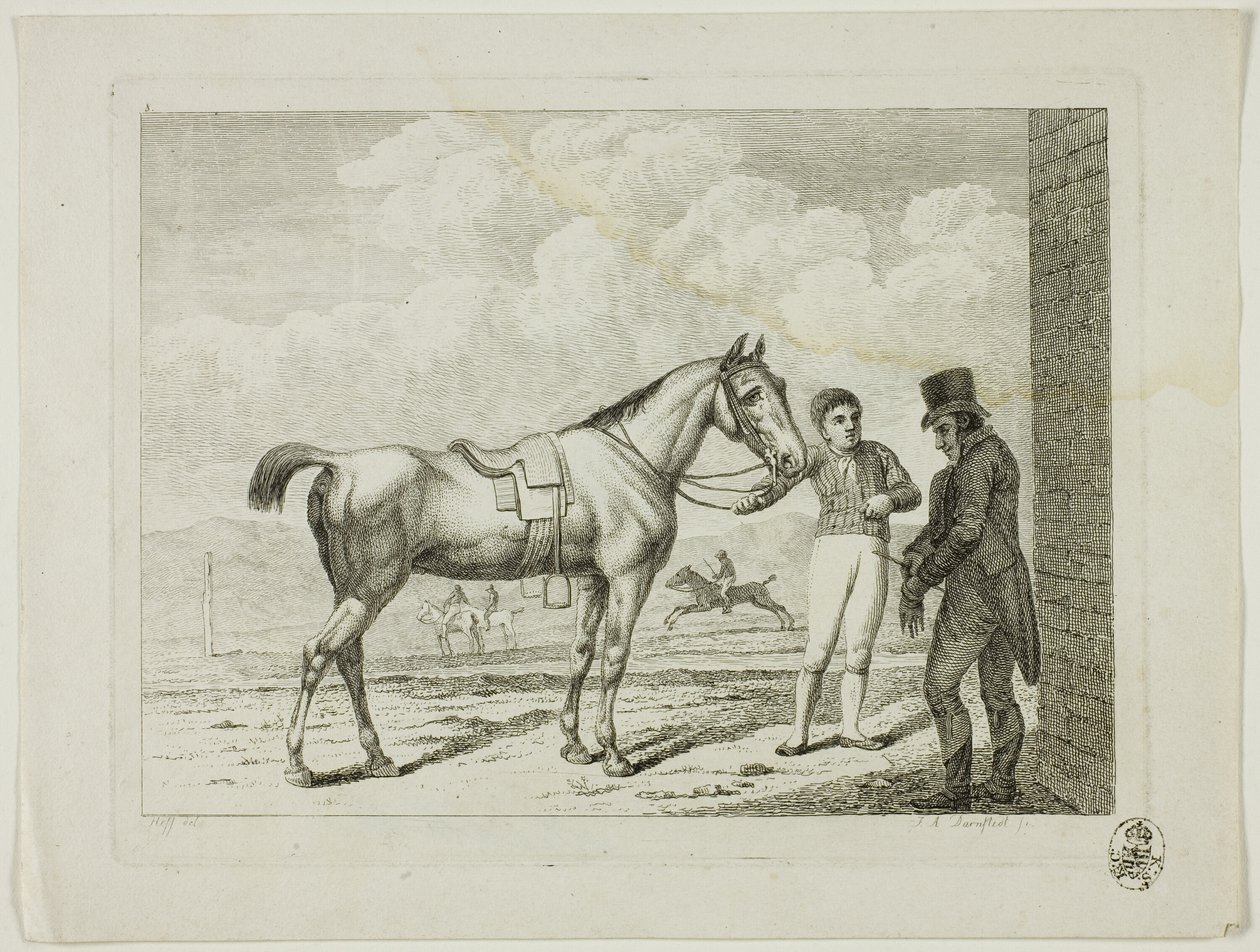Szkoła jeździecka i konie autorstwa Johann Adolph Darnstedt