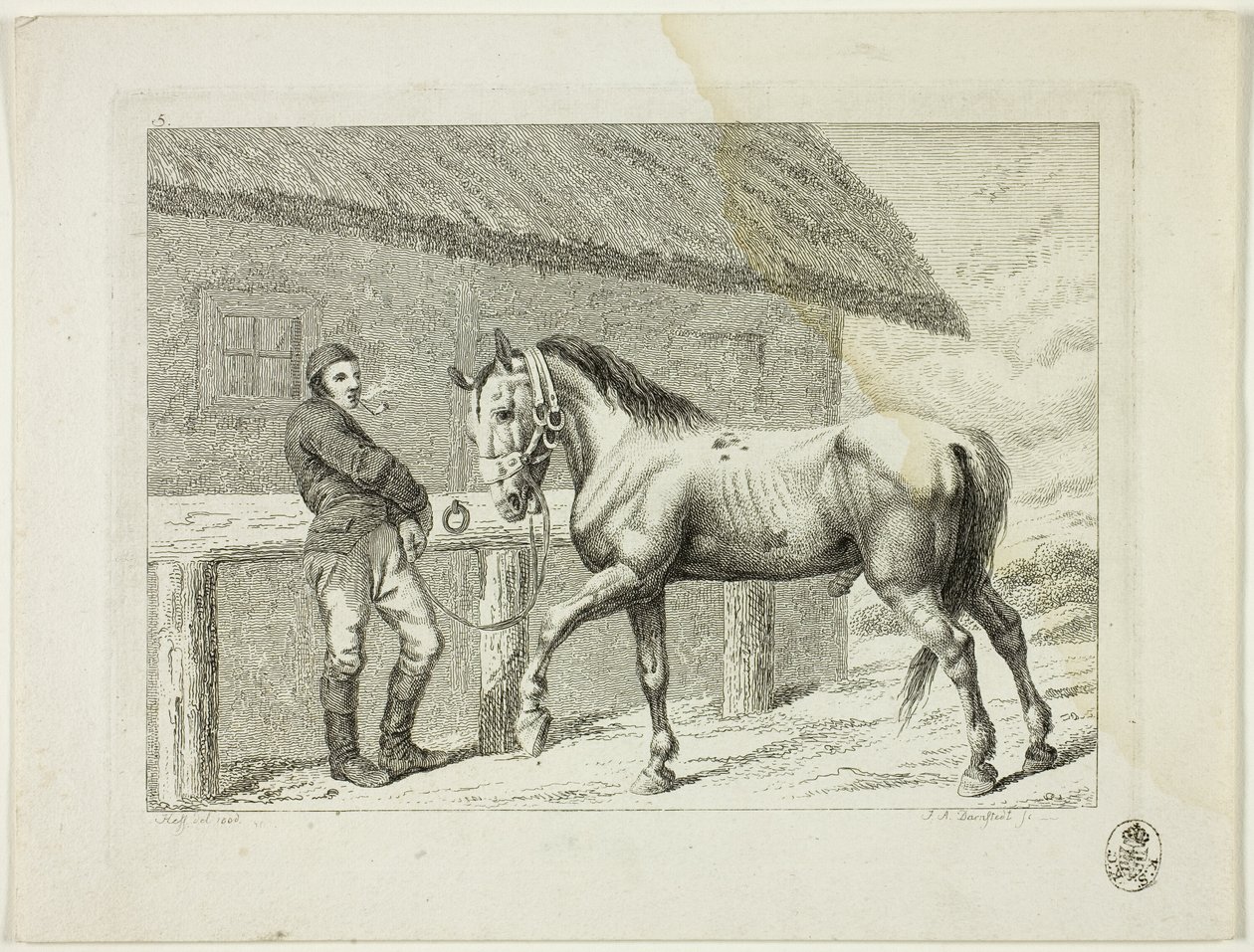 Szkoła jeździecka i konie autorstwa Johann Adolph Darnstedt