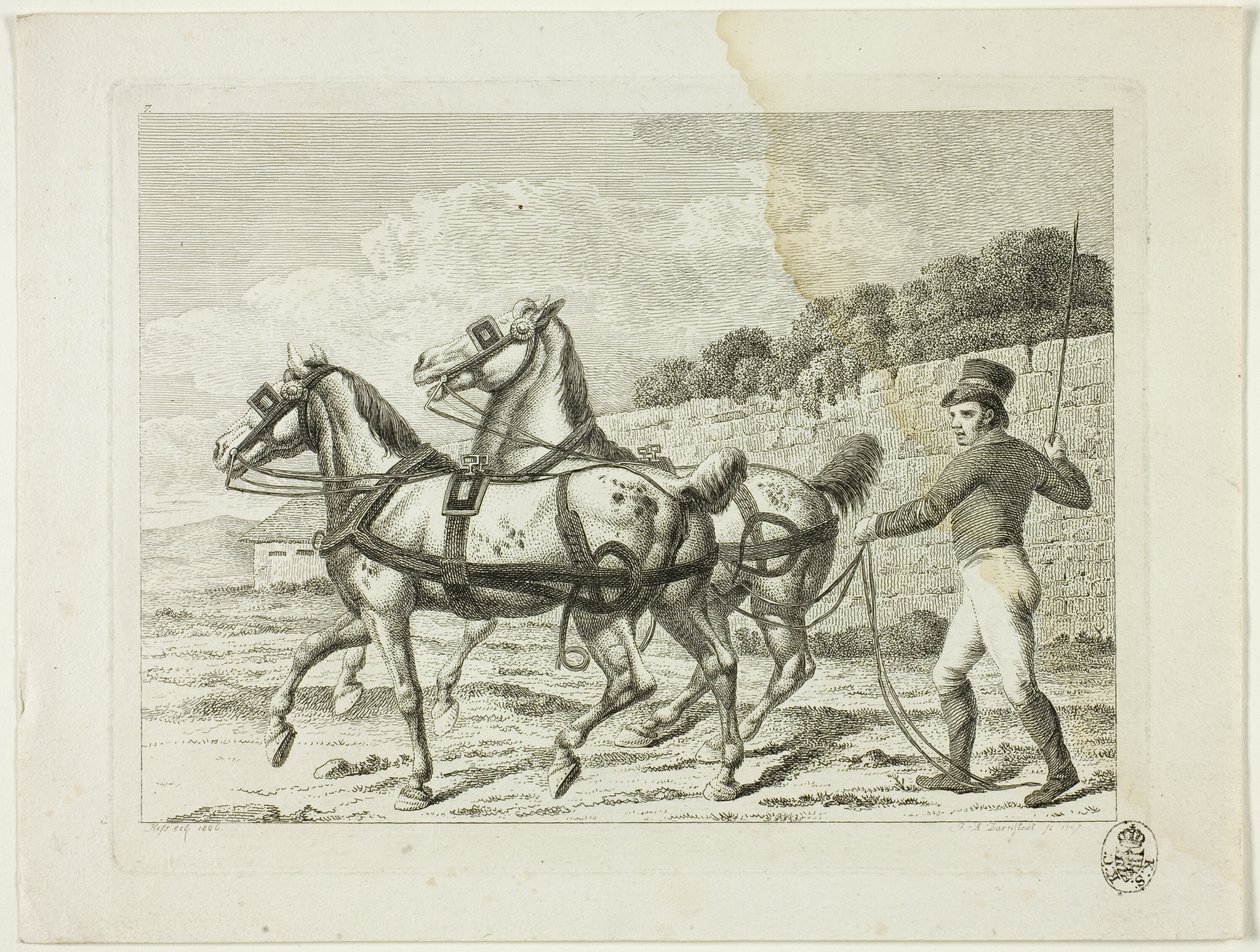 Szkoła jeździecka i konie autorstwa Johann Adolph Darnstedt