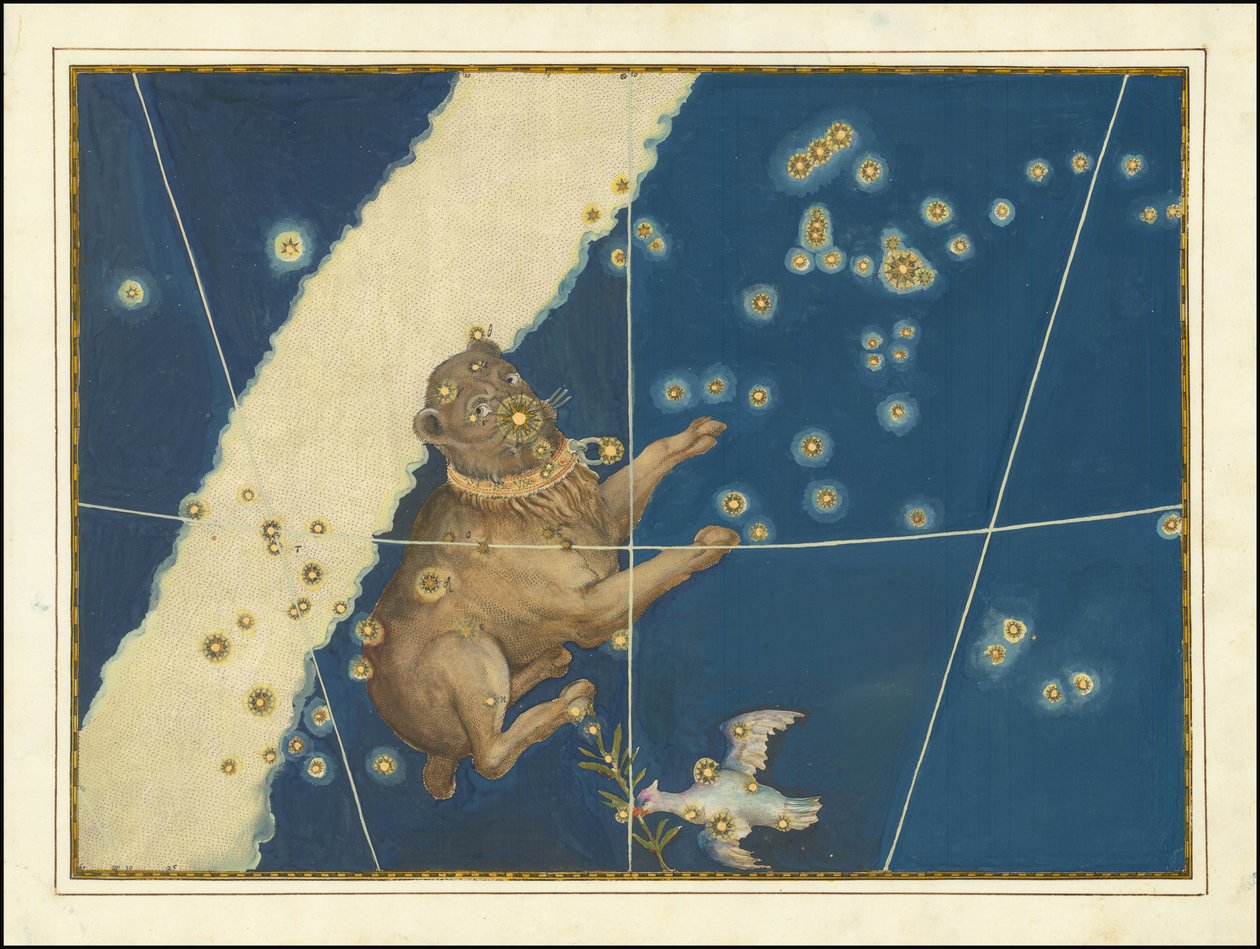 Canis Major - Johann Bayer autorstwa Johann Bayer