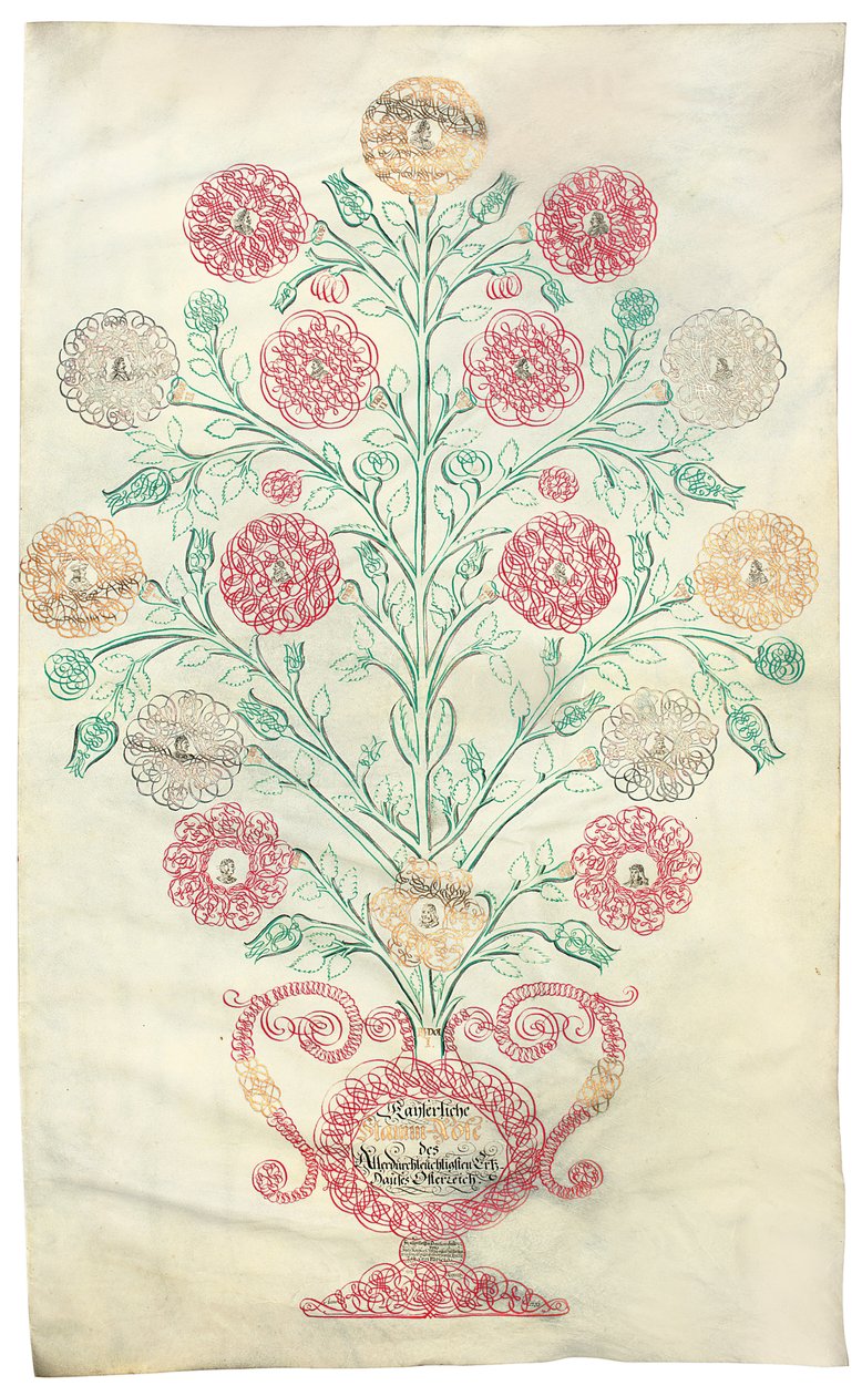 „Róża”, drzewo genealogiczne podarowane cesarzowi Karolowi VI, 1731 r. autorstwa Johann Carl Paricius