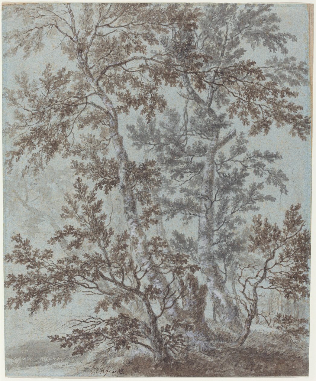 Stoisko brzozowe autorstwa Johann Caspar Huber