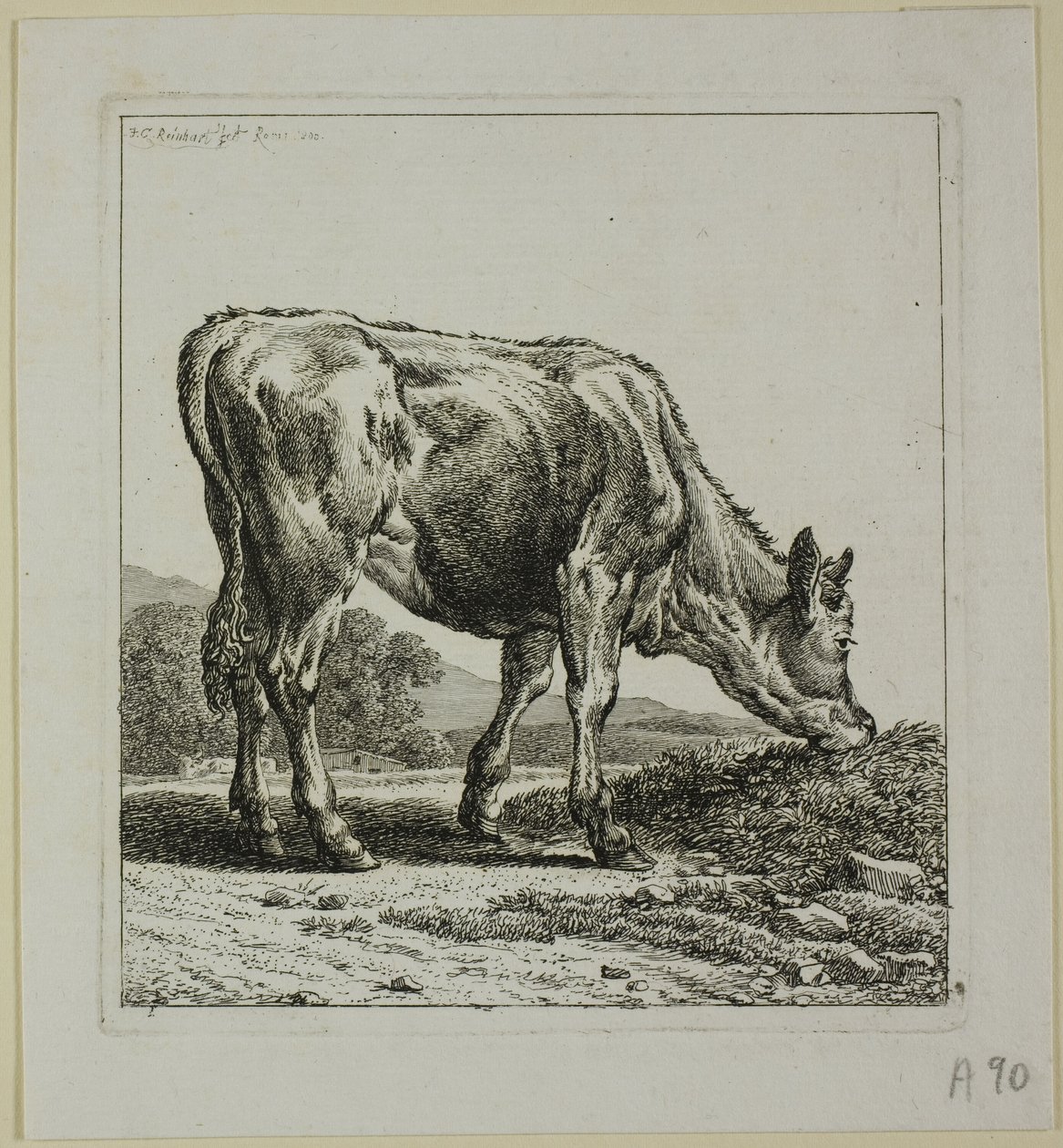 Karmienie cieląt, z Die Zweite Thierfolge autorstwa Johann Christian Reinhart