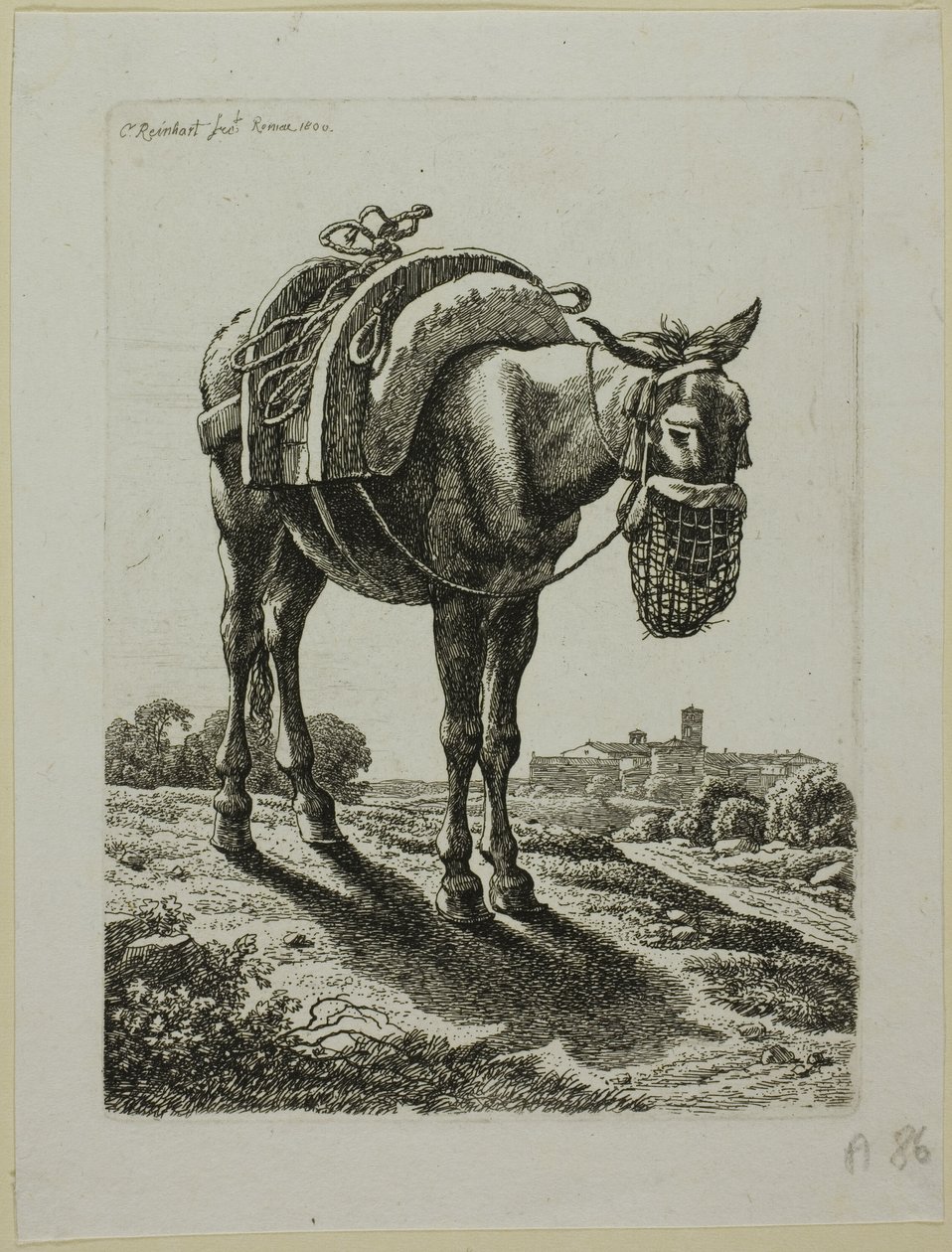 Karmiący muł - przód, z drugiej linii złodziei autorstwa Johann Christian Reinhart