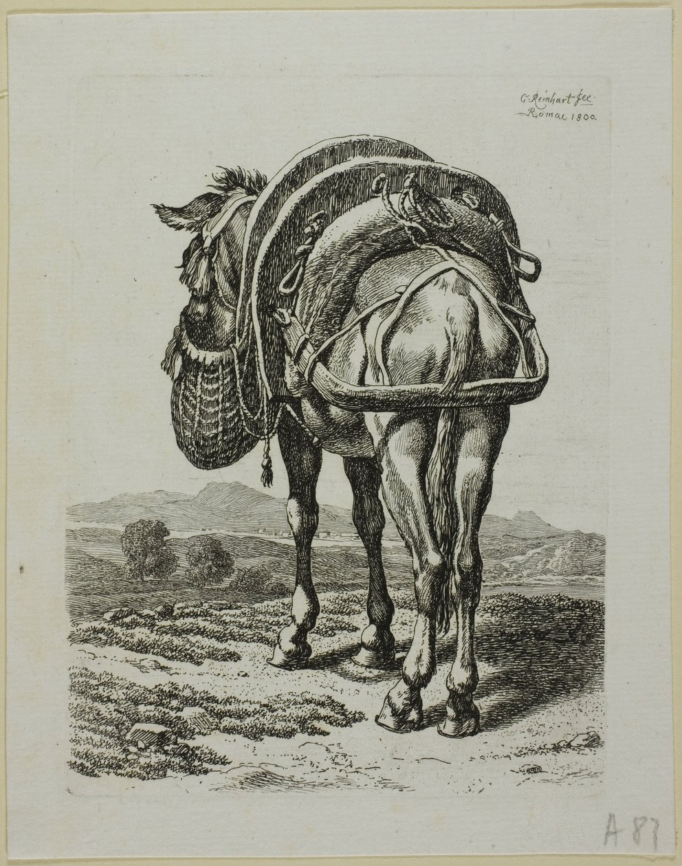 Karmiący Muł - Tył, z Drugiej Sukcesji Złodziei autorstwa Johann Christian Reinhart