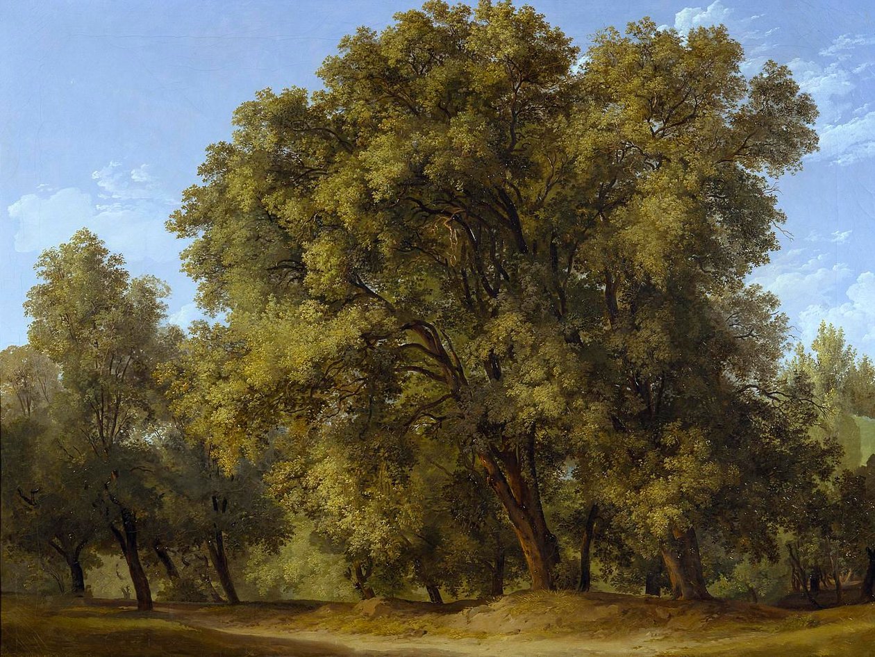 Scena leśna autorstwa Johann Christian Reinhart