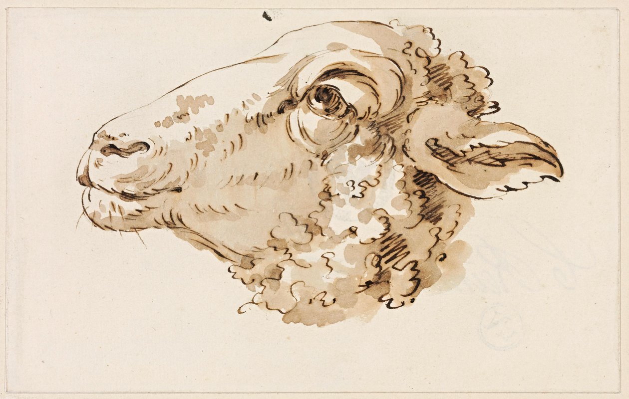 Głowa owcy zwrócona w lewo autorstwa Johann Christian Reinhart