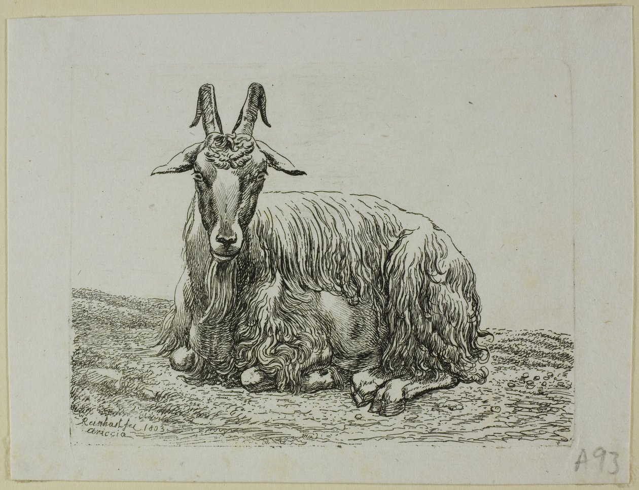 Leżąca Koza, z Die Zweite Thiernahme autorstwa Johann Christian Reinhart