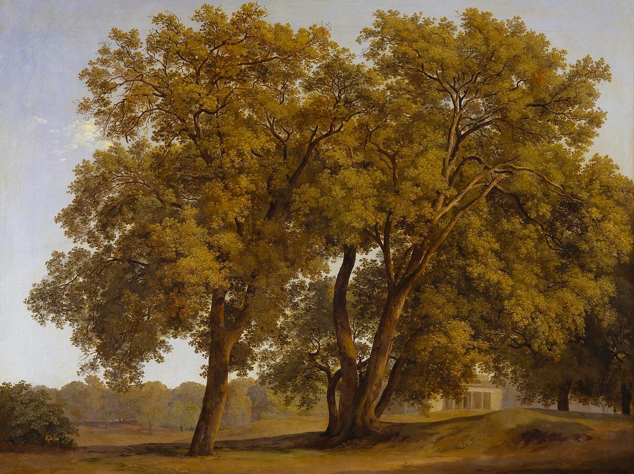 Drzewa w ogrodach Villa Borghese autorstwa Johann Christian Reinhart