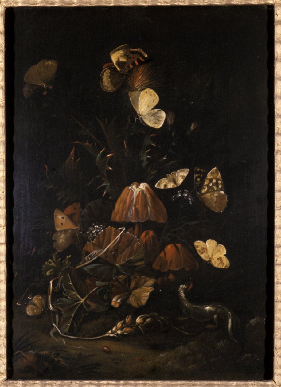 Kwiaty z motylami i jaszczurką (olej na drewnie dębowym) autorstwa Johann Christian Thomas Winck