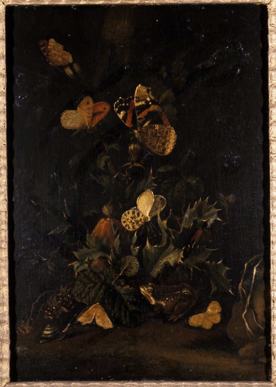 Kwiaty z motylami i ropuchą (olej na dębie) autorstwa Johann Christian Thomas Winck