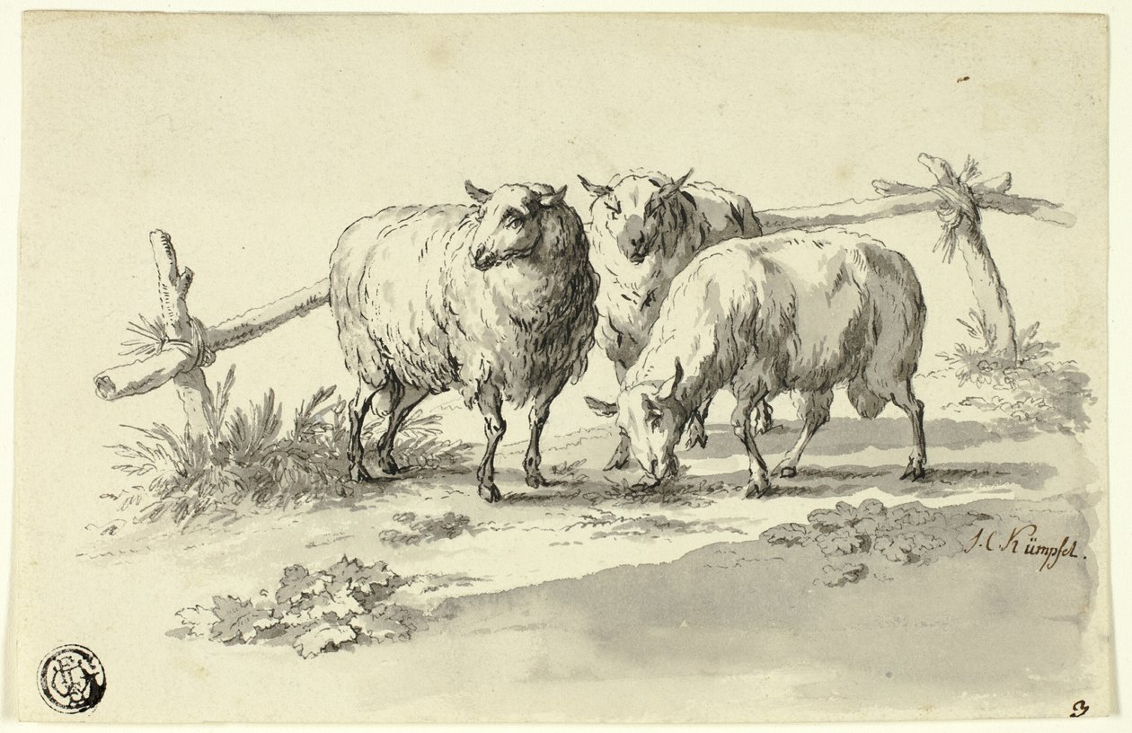 Owce autorstwa Johann Christoph Kimpfel
