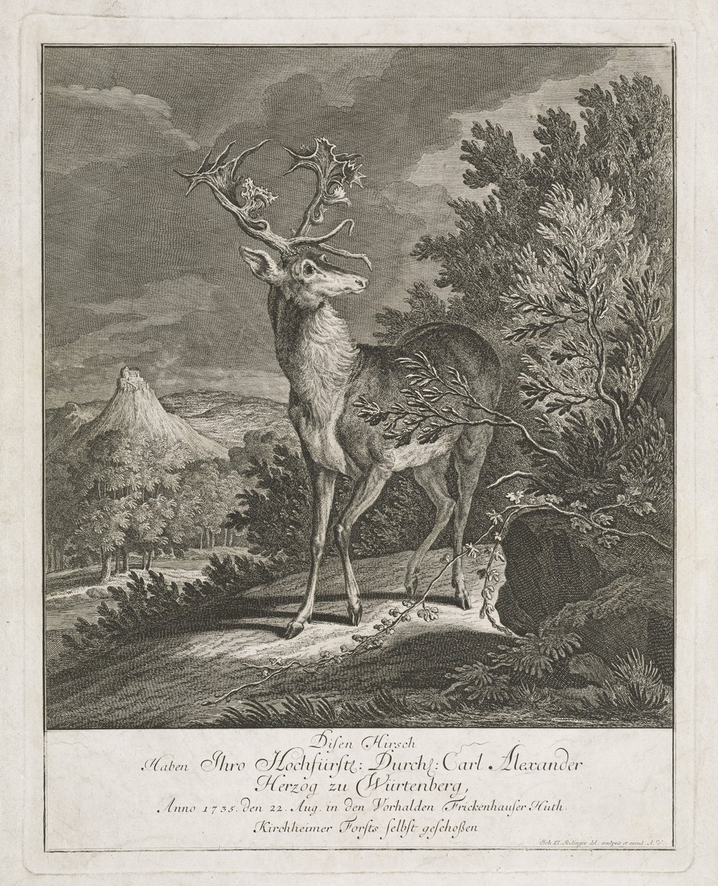 Wspaniały jeleń w krajobrazie autorstwa Johann Elias Ridinger