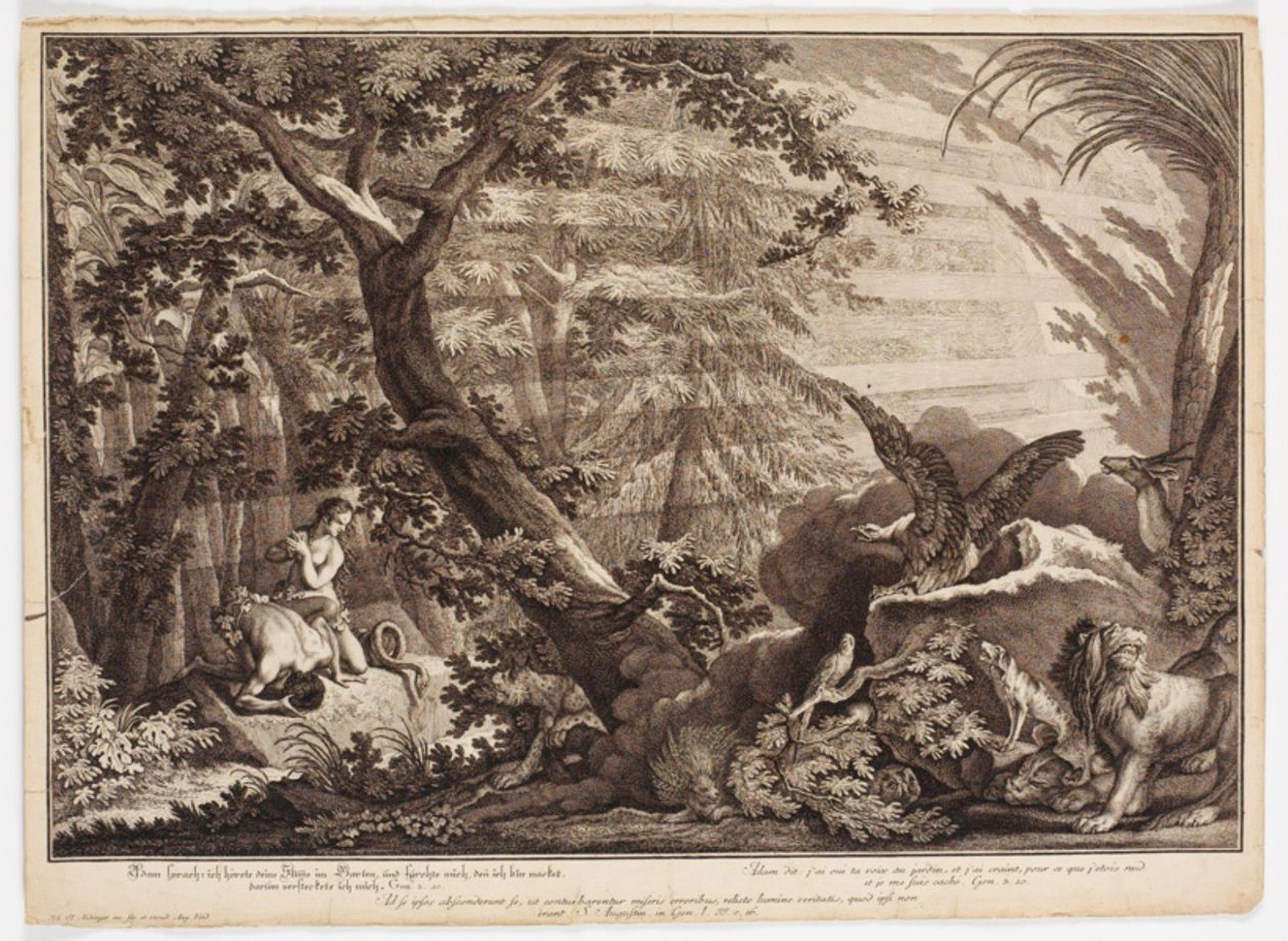 Adam i Ewa odkrywają, że są nadzy autorstwa Johann Elias Ridinger