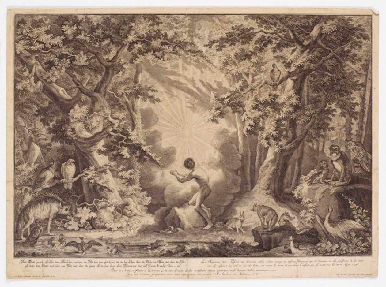 Stworzenie Adama autorstwa Johann Elias Ridinger