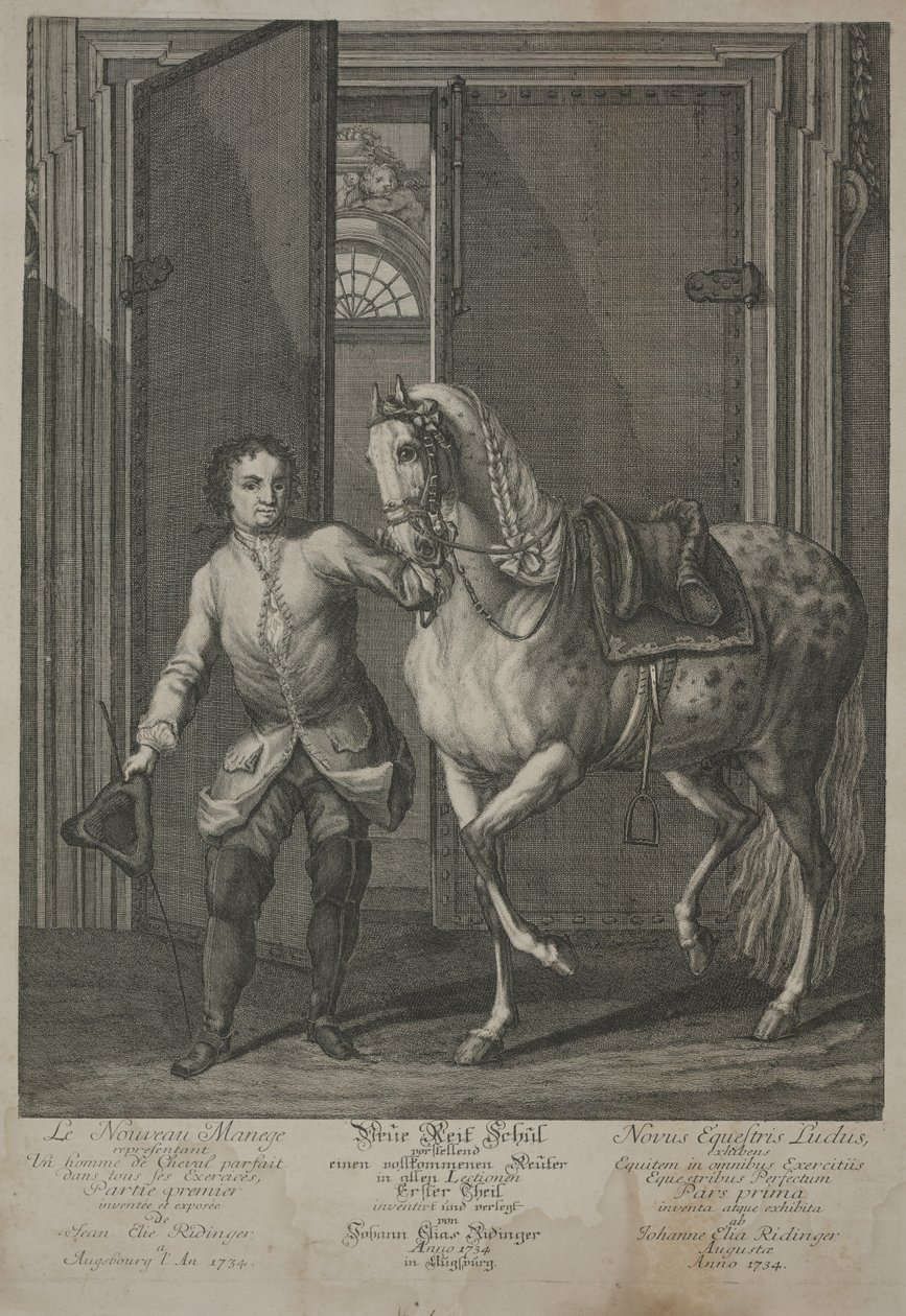 Nowa Szkoła Jeździectwa autorstwa Johann Elias Ridinger