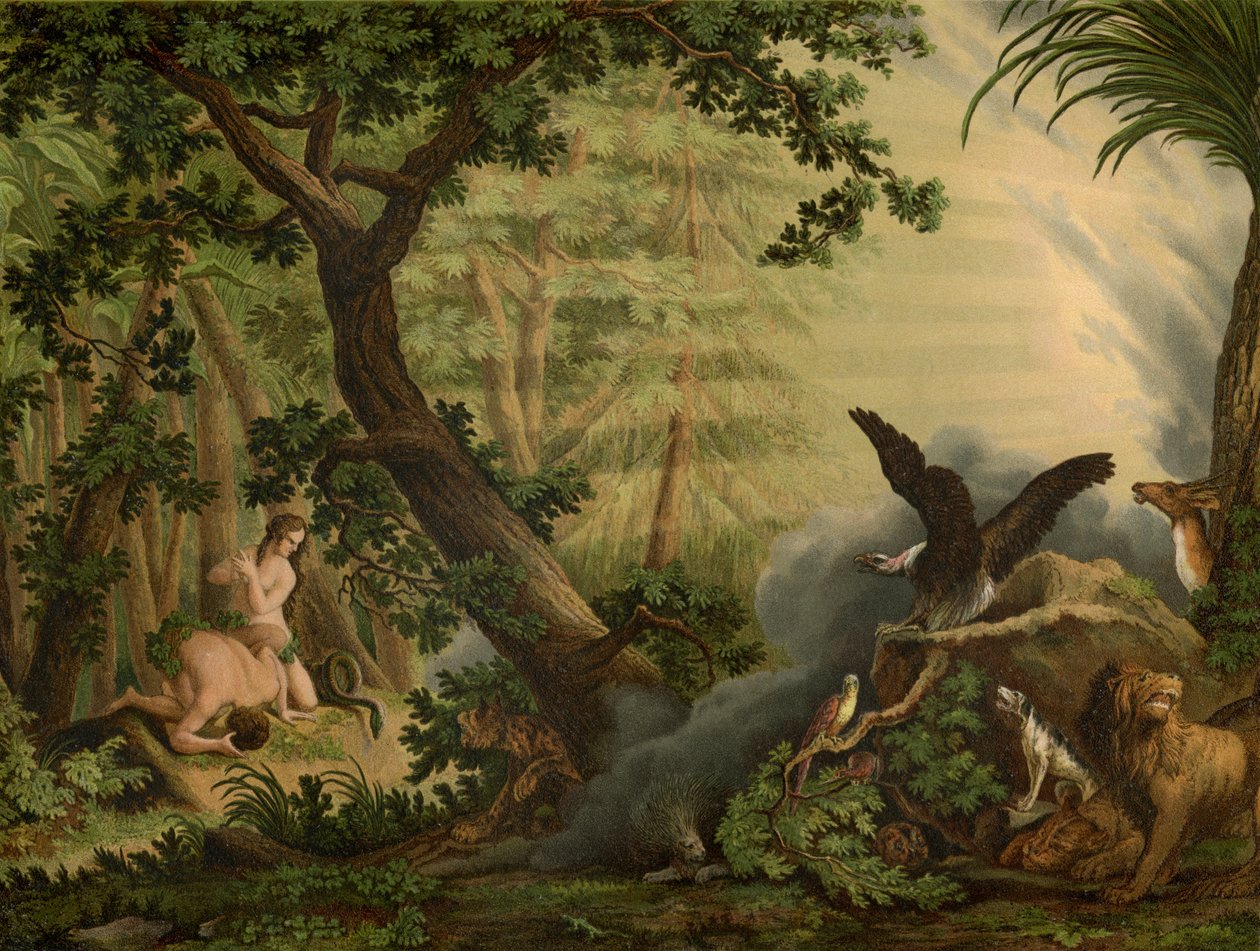 Upadek autorstwa Johann Elias Ridinger or Riedinger