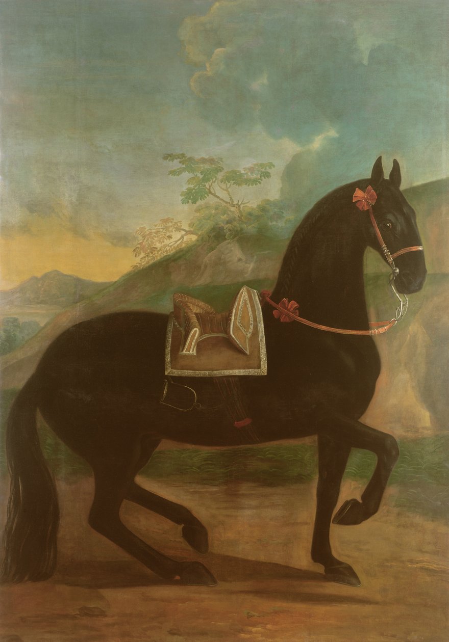 Czarny koń w hiszpańskim siodle autorstwa Johann Georg Hamilton