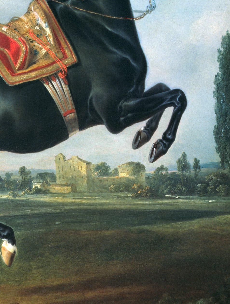 Czarny koń wykonujący Courbette (detal z 65652) autorstwa Johann Georg Hamilton