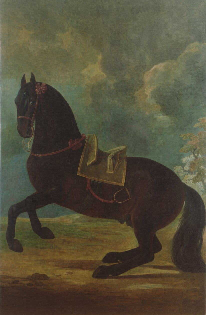 Gniady ogier z hiszpańskim siodłem autorstwa Johann Georg Hamilton