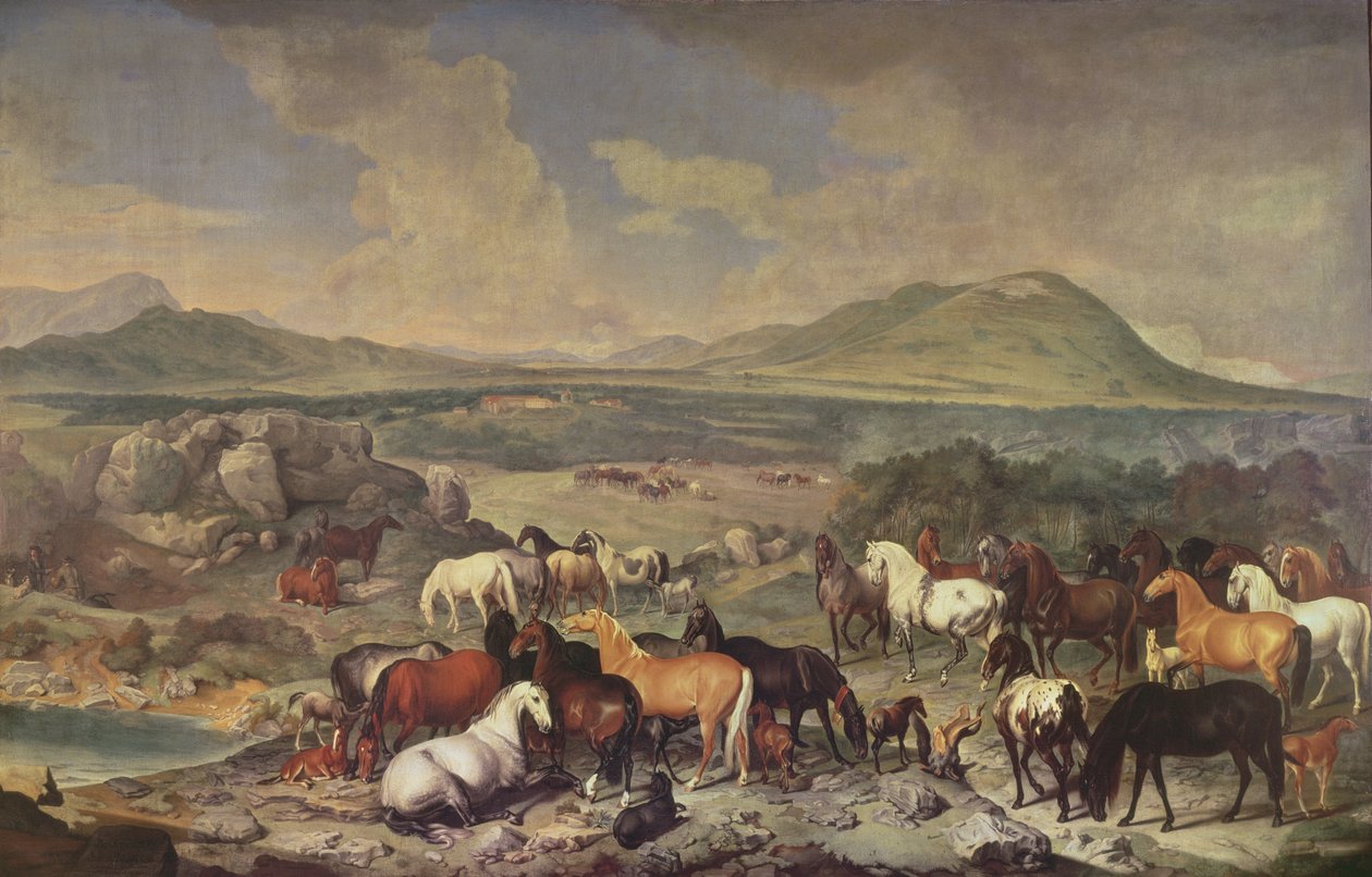 Cesarska Stadnina Koni Lipicańskich autorstwa Johann Georg Hamilton