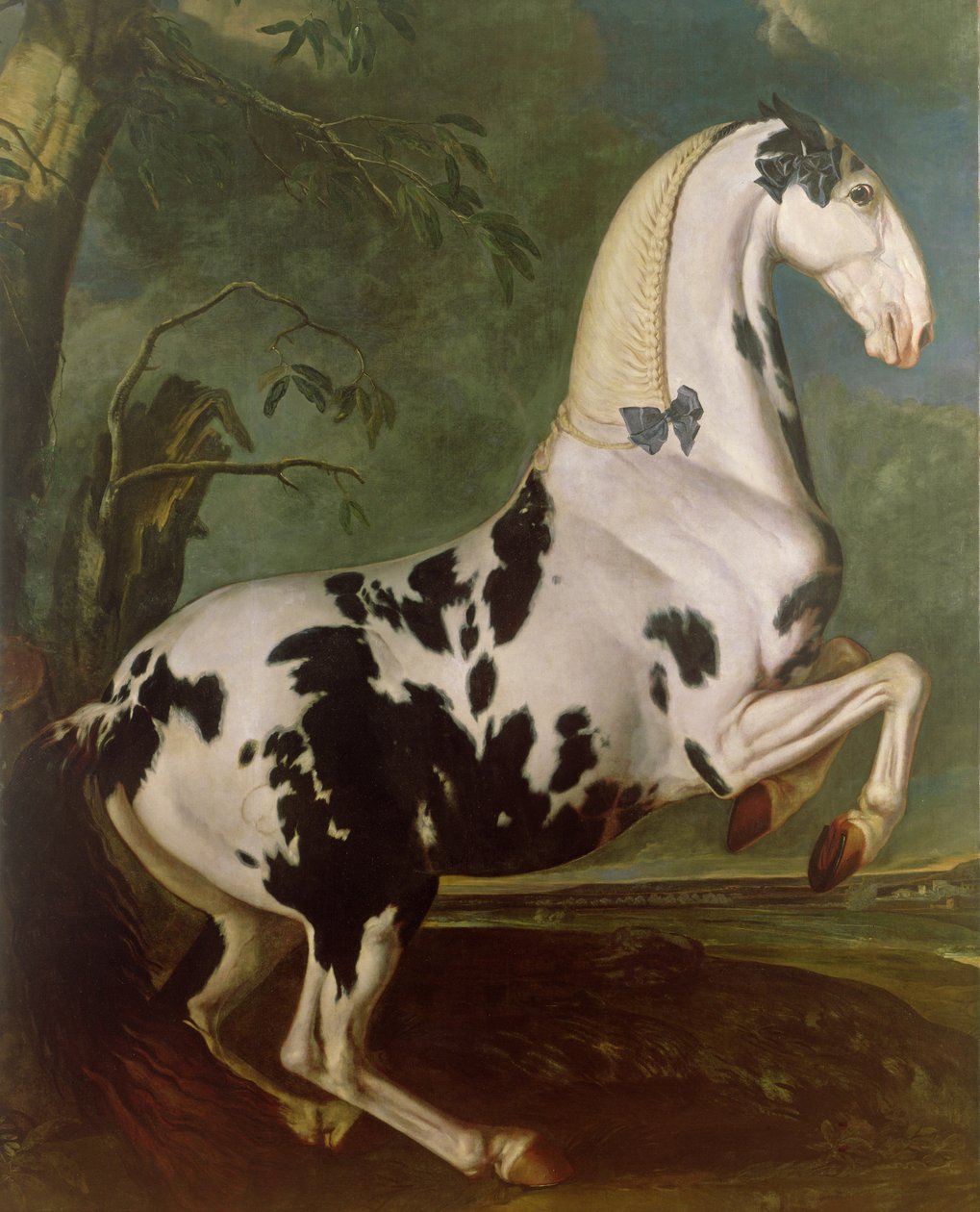 Ogier srokaty w stadninie Eisgruber autorstwa Johann Georg Hamilton