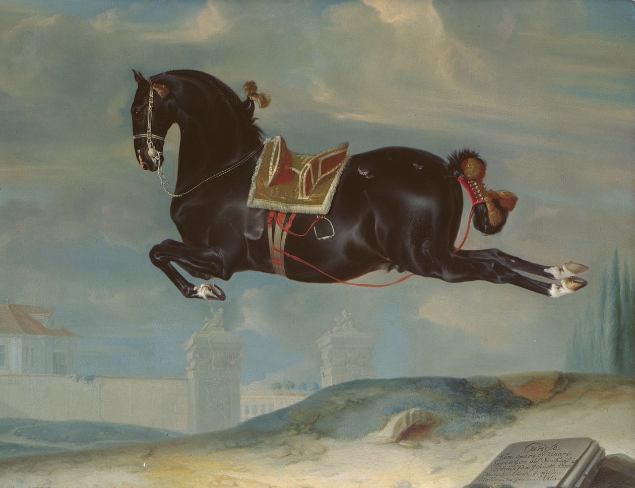 Czarny koń „Curioso” wykonujący Capriole autorstwa Johann Georg Hamilton