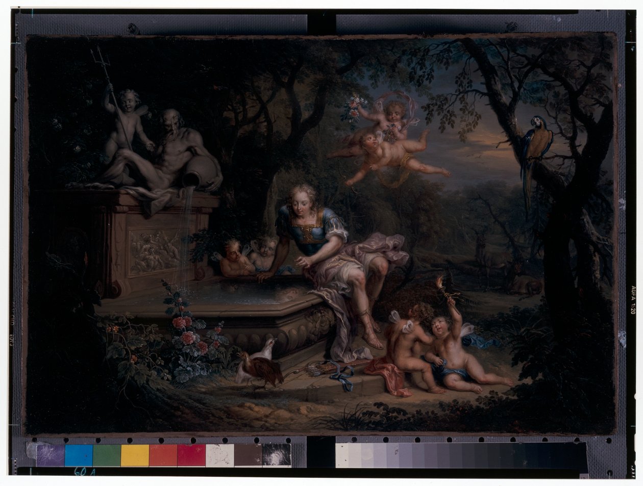 Narcyz odbicie w studni autorstwa Johann Georg Platzer