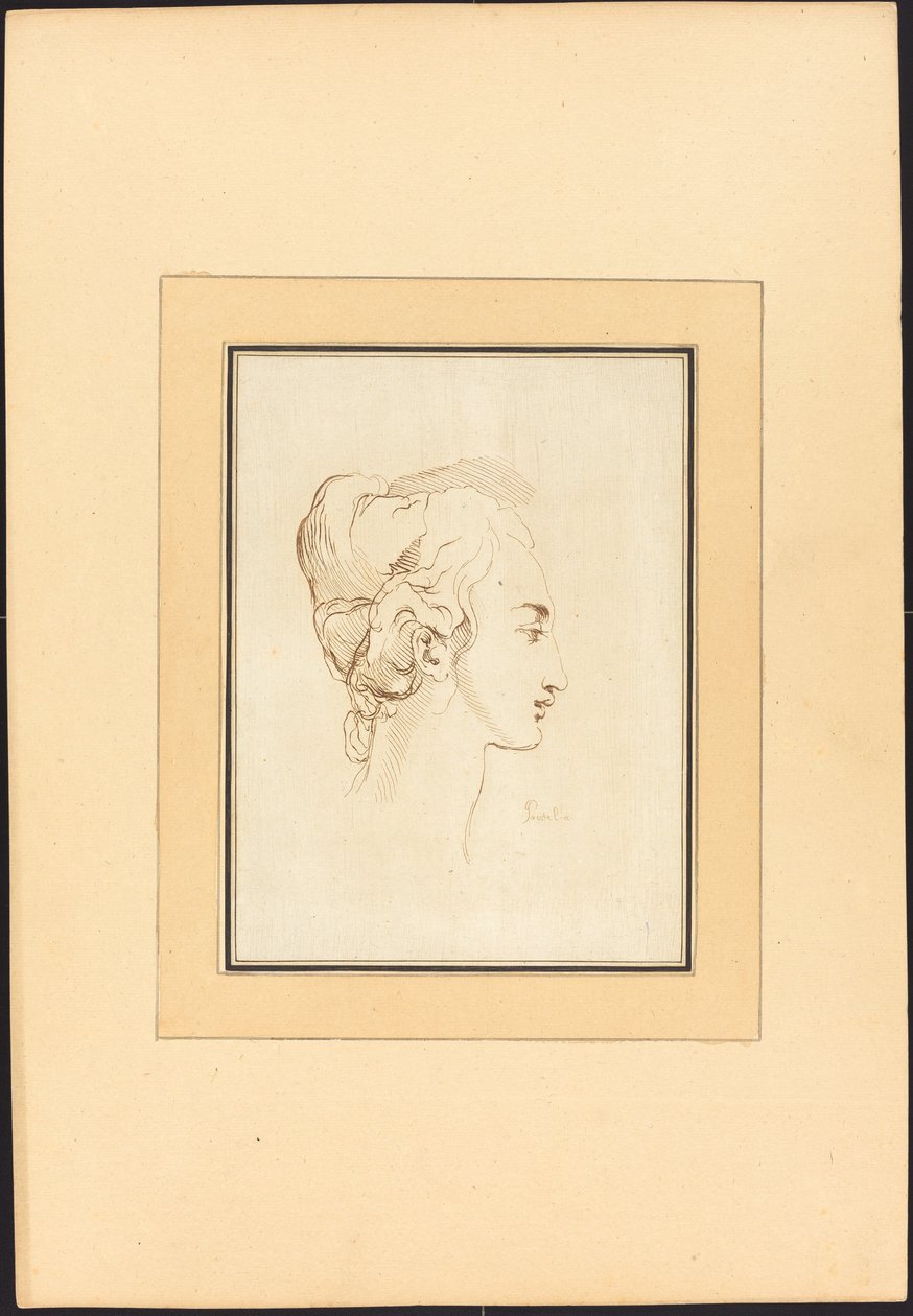 Głowa kobiety autorstwa Johann Gottlieb Prestel after Guercino