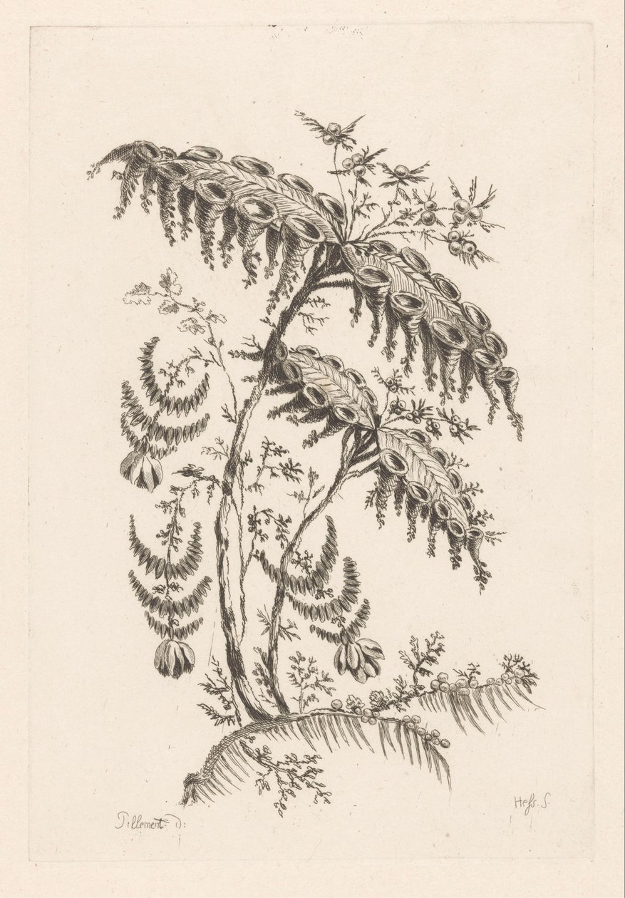 Liście o kształcie rogów Fleures Barok (tytuł serii) autorstwa Johann Heinrich  Hess