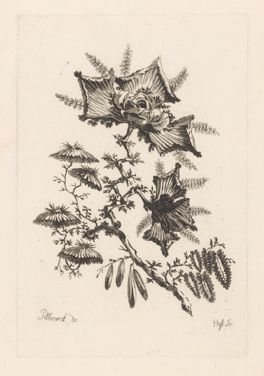 Kwiaty w kształcie latawca Fleures Barok (tytuł serii) autorstwa Johann Heinrich  Hess