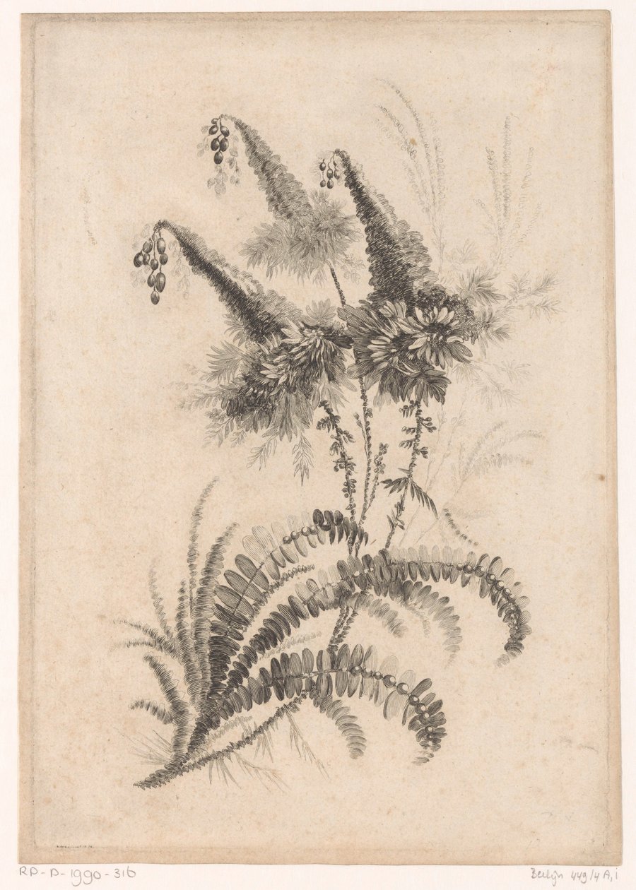 Puntige bloemen Kolekcja kwiatów nowego smaku; For the Manufacture des Etoffes de Perse (tytuł serii) autorstwa Johann Heinrich  Hess