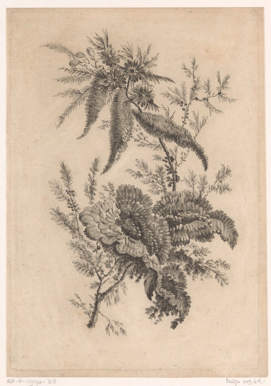 Wilde roosachtigen Kolekcja kwiatów nowego smaku; For the Manufacture des Etoffes de Perse (tytuł serii) autorstwa Johann Heinrich  Hess