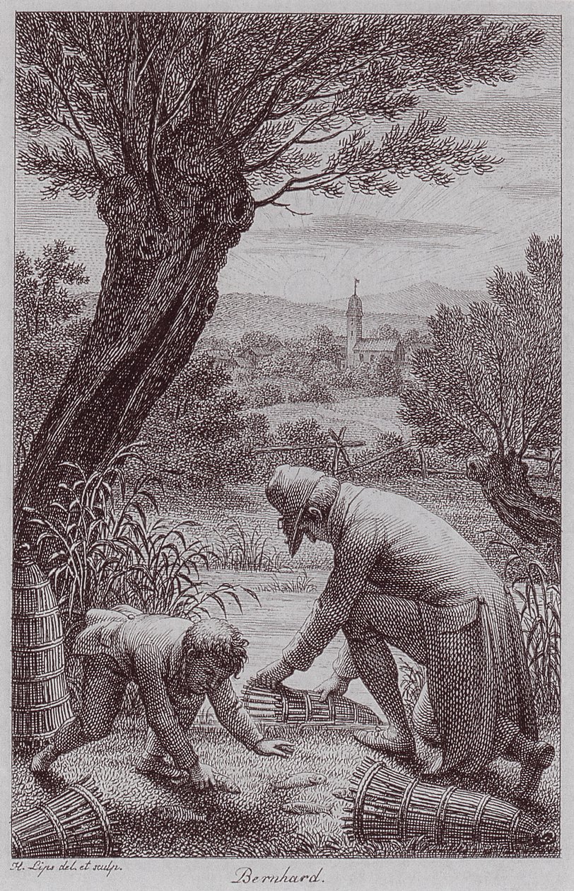 BernhardJHLipsi autorstwa Johann Heinrich Lips