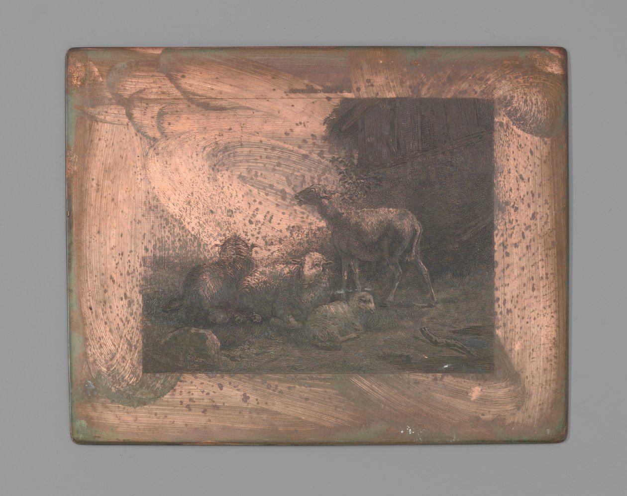 Cztery owce autorstwa Johann Heinrich Maria Hubert Rennefeld (signed by artist)