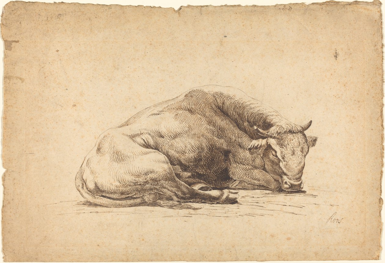 Śpiący byk autorstwa Johann Heinrich Roos